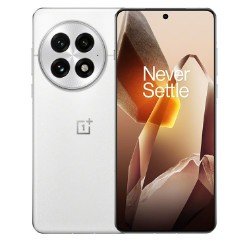 OnePlus 13